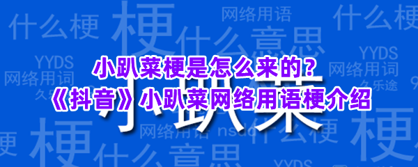 小趴菜梗是怎么来的？《抖音》小趴菜网络用语梗介绍