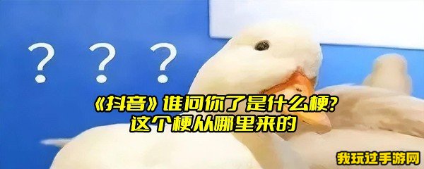 《抖音》谁问你了是什么梗？这个梗从哪里来的