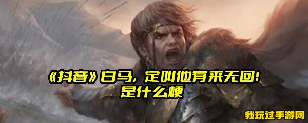 《抖音》白马，定叫他有来无回！是什么梗