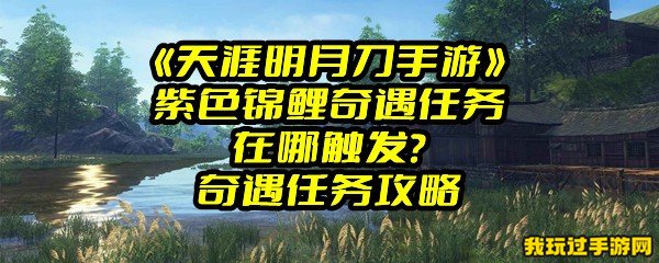 《天涯明月刀手游》紫色锦鲤奇遇任务在哪触发？奇遇任务攻略