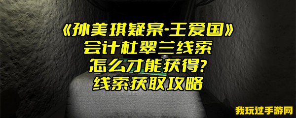 《孙美琪疑案-王爱国》会计杜翠兰线索怎么才能获得？线索获取攻略