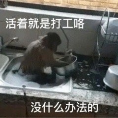 《抖音》马喽的命也是命什么意思