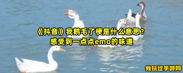 《抖音》我鹅毛了梗是什么意思？感受到一点点emo的味道