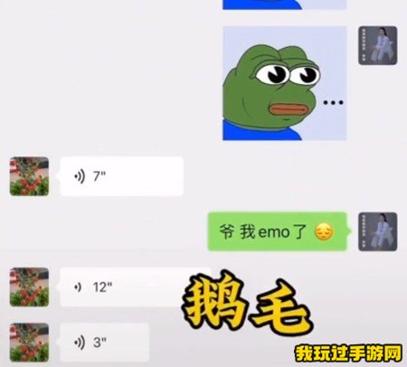 《抖音》我鹅毛了梗是什么意思？感受到一点点emo的味道