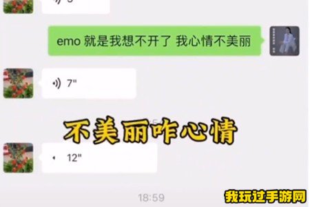 《抖音》我鹅毛了梗是什么意思？感受到一点点emo的味道