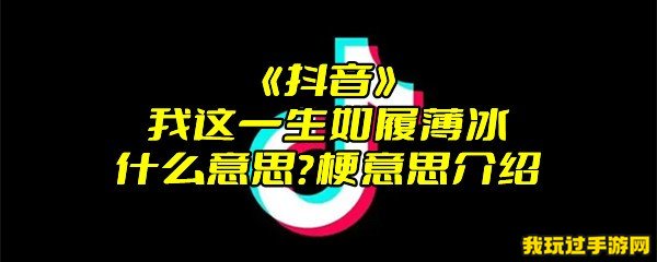 《抖音》我这一生如履薄冰什么意思？梗意思介绍