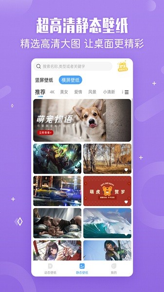 小鸟壁纸免费动态壁纸软件截图