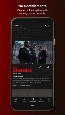 Netflixapp软件截图