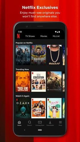 Netflixapp软件截图