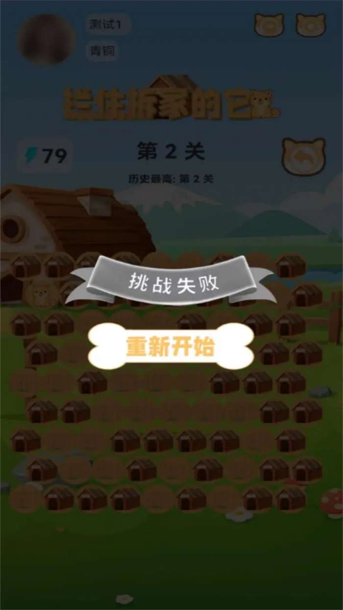 拦住拆家的它游戏截图