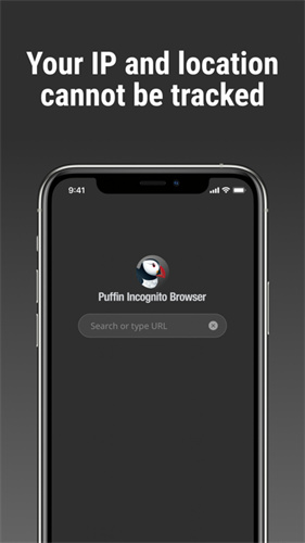 Puffin浏览器网页版软件截图