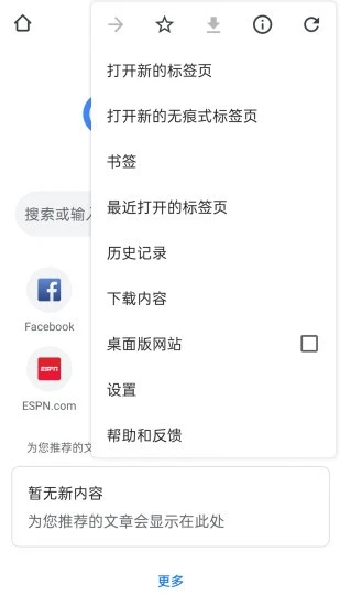 谷歌浏览器网页版软件截图