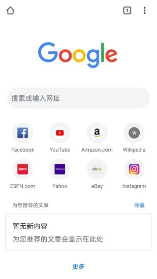 谷歌浏览器网页版软件截图